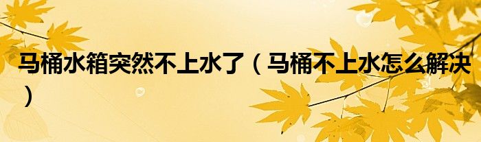 马桶水箱突然不上水了（马桶不上水怎么解决）