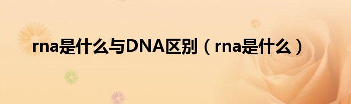 rna是什么与DNA区别（rna是什么）