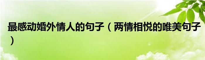 最感动婚外情人的句子（两情相悦的唯美句子）