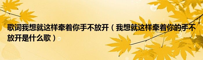 歌词我想就这样牵着你手不放开（我想就这样牵着你的手不放开是什么歌）