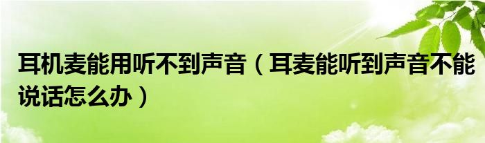 耳机麦能用听不到声音（耳麦能听到声音不能说话怎么办）