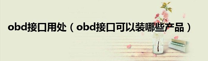 obd接口用处（obd接口可以装哪些产品）