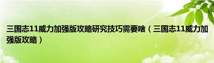 三国志11威力加强版攻略研究技巧需要啥（三国志11威力加强版攻略）