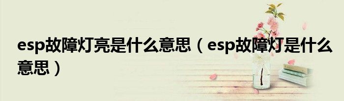 esp故障灯亮是什么意思（esp故障灯是什么意思）