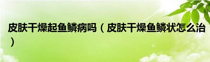 皮肤干燥起鱼鳞病吗（皮肤干燥鱼鳞状怎么治）