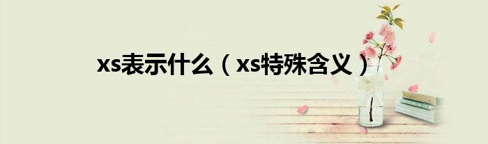 xs表示什么（xs特殊含义）