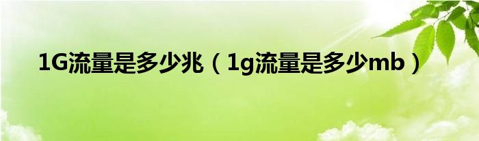 1G流量是多少兆（1g流量是多少mb）