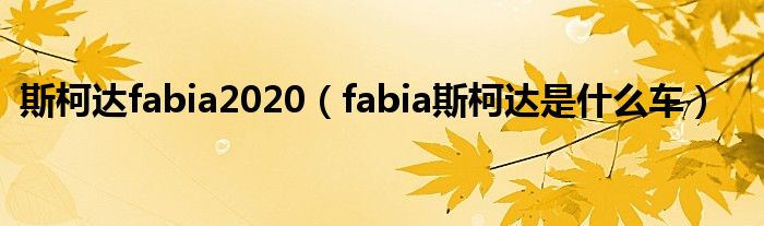 斯柯达fabia2020（fabia斯柯达是什么车）