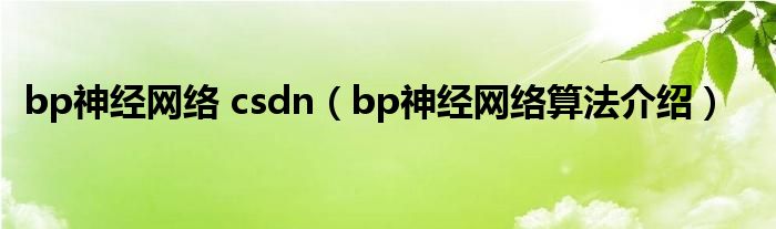 bp神经网络 csdn（bp神经网络算法介绍）