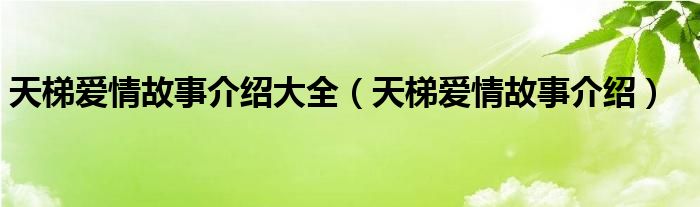 天梯爱情故事介绍大全（天梯爱情故事介绍）