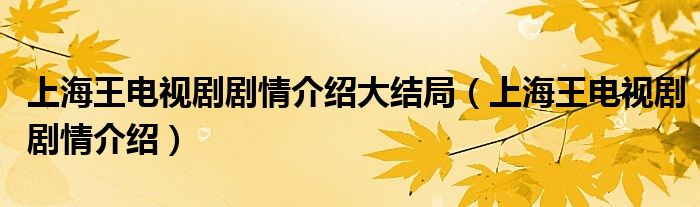 上海王电视剧剧情介绍大结局（上海王电视剧剧情介绍）