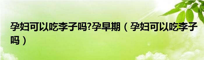 孕妇可以吃李子吗?孕早期（孕妇可以吃李子吗）