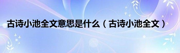 古诗小池全文意思是什么（古诗小池全文）