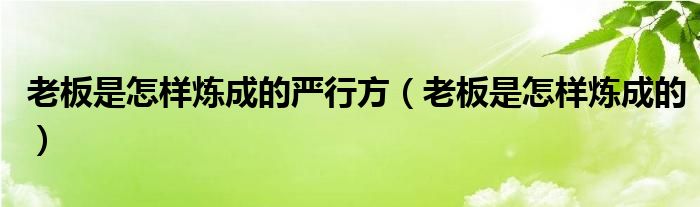 老板是怎样炼成的严行方（老板是怎样炼成的）