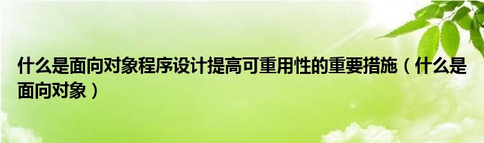 什么是面向对象程序设计提高可重用性的重要措施（什么是面向对象）