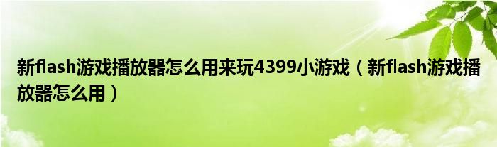 新flash游戏播放器怎么用来玩4399小游戏（新flash游戏播放器怎么用）