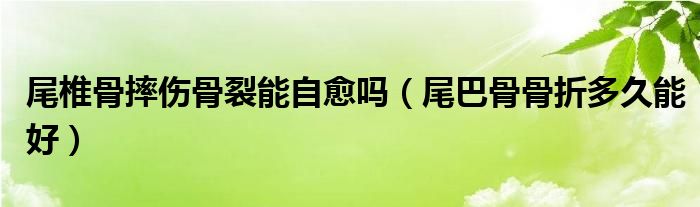 尾椎骨摔伤骨裂能自愈吗（尾巴骨骨折多久能好）