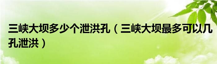 三峡大坝多少个泄洪孔（三峡大坝最多可以几孔泄洪）