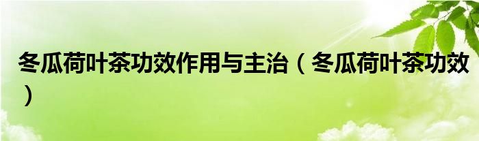 冬瓜荷叶茶功效作用与主治（冬瓜荷叶茶功效）