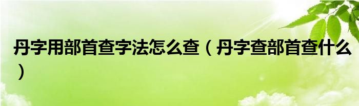 丹字用部首查字法怎么查（丹字查部首查什么）