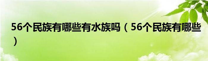 56个民族有哪些有水族吗（56个民族有哪些）