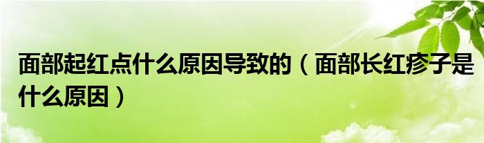 面部起红点什么原因导致的（面部长红疹子是什么原因）