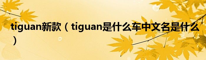 tiguan新款（tiguan是什么车中文名是什么）