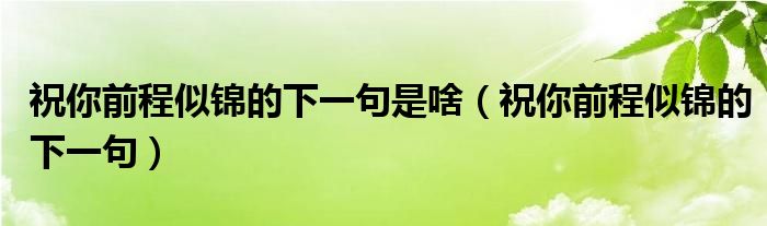 祝你前程似锦的下一句是啥（祝你前程似锦的下一句）