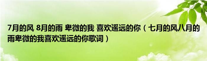 7月的风 8月的雨 卑微的我 喜欢遥远的你（七月的风八月的雨卑微的我喜欢遥远的你歌词）