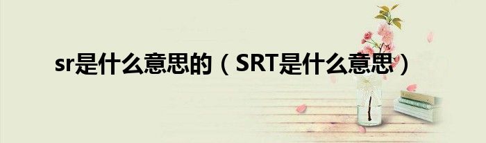 sr是什么意思的（SRT是什么意思）