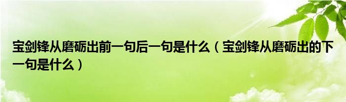 宝剑锋从磨砺出前一句后一句是什么（宝剑锋从磨砺出的下一句是什么）