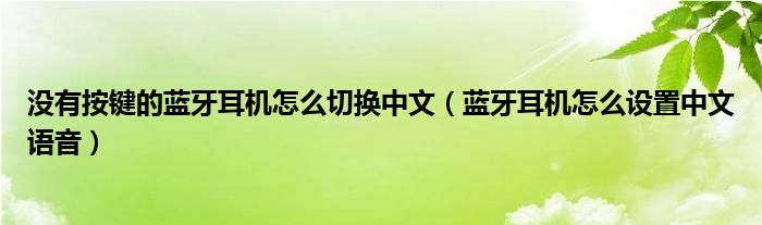 没有按键的蓝牙耳机怎么切换中文（蓝牙耳机怎么设置中文语音）