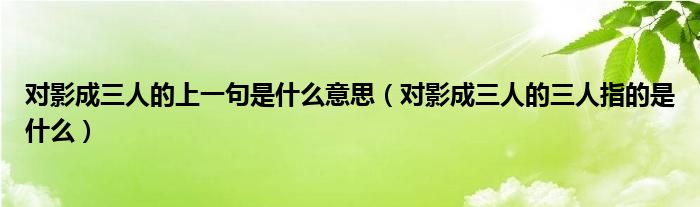 对影成三人的上一句是什么意思（对影成三人的三人指的是什么）