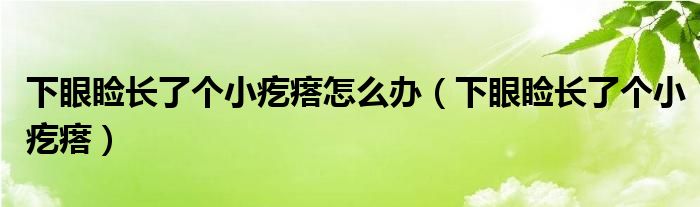 下眼睑长了个小疙瘩怎么办（下眼睑长了个小疙瘩）