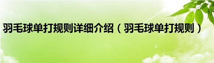 羽毛球单打规则详细介绍（羽毛球单打规则）