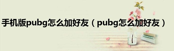 手机版pubg怎么加好友（pubg怎么加好友）