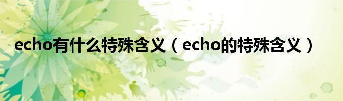 echo有什么特殊含义（echo的特殊含义）