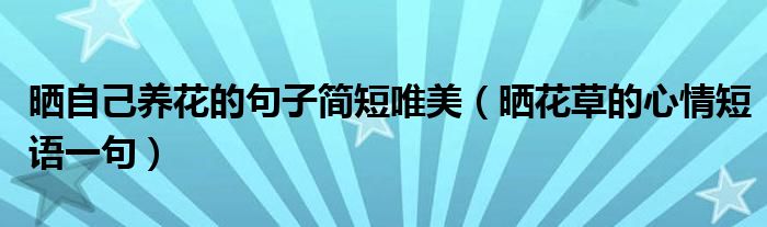 晒自己养花的句子简短唯美（晒花草的心情短语一句）