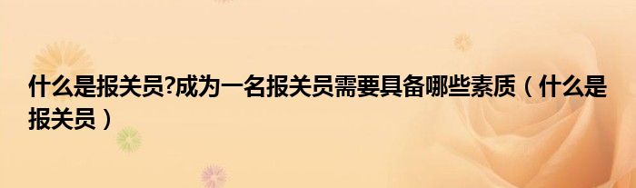 什么是报关员?成为一名报关员需要具备哪些素质（什么是报关员）