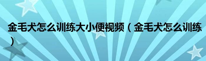 金毛犬怎么训练大小便视频（金毛犬怎么训练）