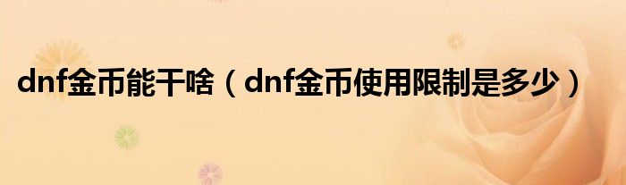 dnf金币能干啥（dnf金币使用限制是多少）