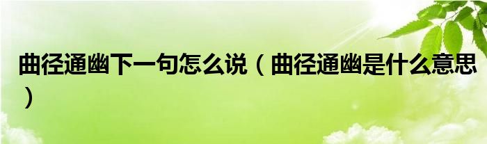 曲径通幽下一句怎么说（曲径通幽是什么意思）