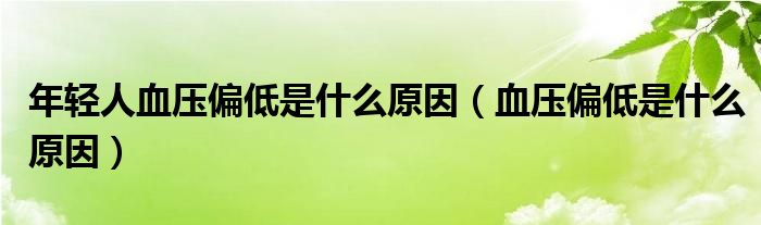 年轻人血压偏低是什么原因（血压偏低是什么原因）