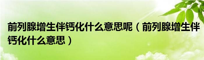 前列腺增生伴钙化什么意思呢（前列腺增生伴钙化什么意思）