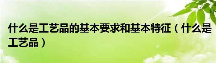 什么是工艺品的基本要求和基本特征（什么是工艺品）