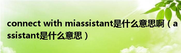 connect with miassistant是什么意思啊（assistant是什么意思）