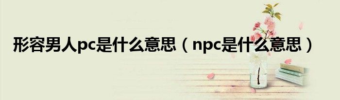 形容男人pc是什么意思（npc是什么意思）