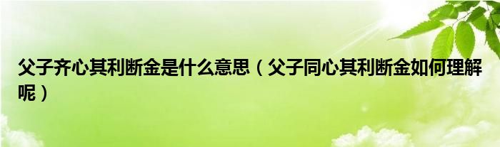 父子齐心其利断金是什么意思（父子同心其利断金如何理解呢）