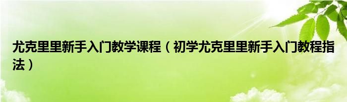 尤克里里新手入门教学课程（初学尤克里里新手入门教程指法）