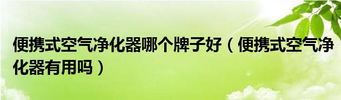 便携式空气净化器哪个牌子好（便携式空气净化器有用吗）